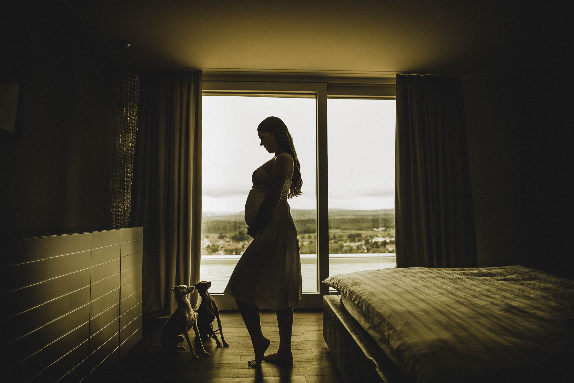 Export x3 1DX26131 Fotoshooting 2020 Zito 3